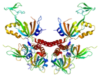 Image illustrative de l’article Protéine de réplication A