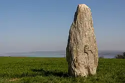 Image illustrative de l’article Menhir de Grandson