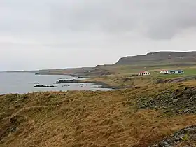 Paysage côtier de la Vatnsnes.