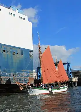 illustration de Moewe