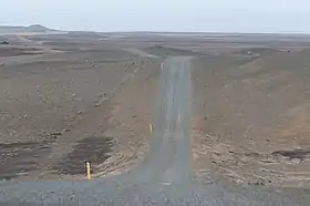 Image illustrative de l’article Melrakkaslétta