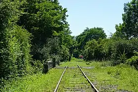 Image illustrative de l’article Ligne de Vaivre à Gray