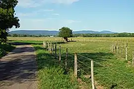 La plaine de Roye s'étend entre le village et La Côte. Le massif des Vosges est visible à l'horizon.