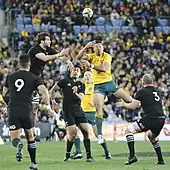 Photographie de plusieurs sportifs