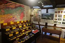 Section géologie : formation du charbon et fossiles.