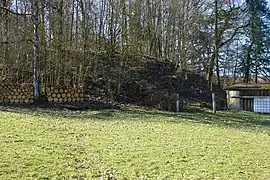 Monticule boisé en bordure d'un champ.