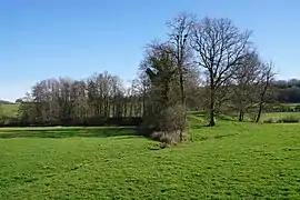 Un long monticule recouvert par les arbres.