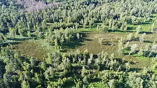 Le cigle de Ternuay.