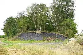 Le terril du puits de la Filousière.