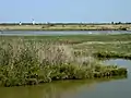 Le marais à Soumard avec le phare permettant l'accès de la Charente de nuit