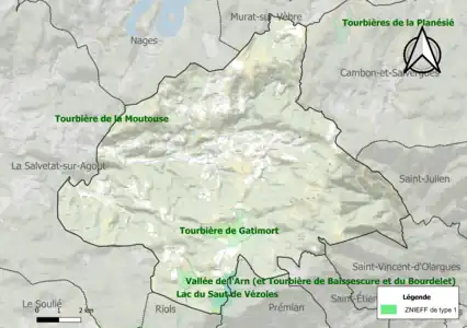 Carte des ZNIEFF de type 1 sur la commune.