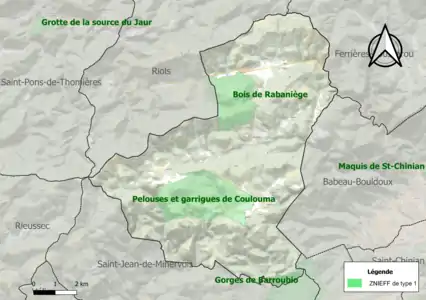 Carte des ZNIEFF de type 1 sur la commune.