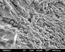 Image de la surface, semblable à celle de Nakhla.