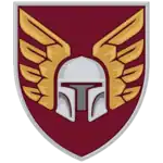 Image illustrative de l’article 46e brigade aéromobile