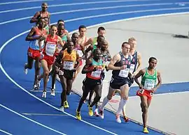 Image illustrative de l’article Chris Solinsky