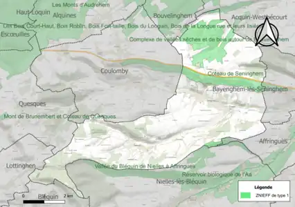 Carte des ZNIEFF de type 1 sur la commune.