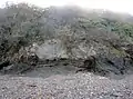 Les falaises près du Fret à l'est de Porzh Cave : anticlinal (en Lanvéoc).