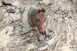 Anneau pour chevaux.