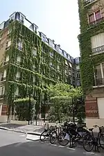 Mur végétalisé au no 9.