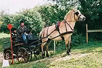 l'arrêt en côte, sans frein