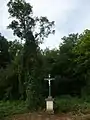 Réinstallation le 21 août 2010 du calvaire sur la route d'Heuilley à Talmay. En arrière-plan vernées et marais.