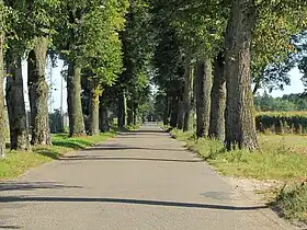 Woroniec (Biała Podlaska)