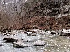 Les falaises du canyon.