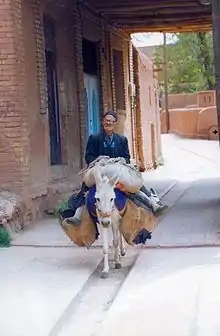 Scène de la vie d'Abyaneh