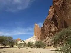 Acacias dans l'Ennedi (Tchad) en octobre 2015.