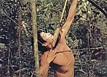 Photographie d'un amérindien Guayaki