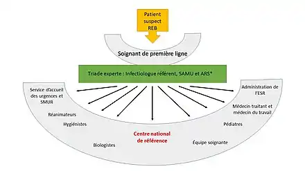 schéma montrant comment le soignant de première ligne s'appuie d'abord sur une triade d'experts composée de l'infectiologue référent de sa région, du SAMU et de l'agence régionale de la santé et ensuite sur la chaîne des intervenants nécessaires
