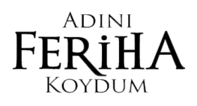 Image illustrative de l’article Adını Feriha Koydum