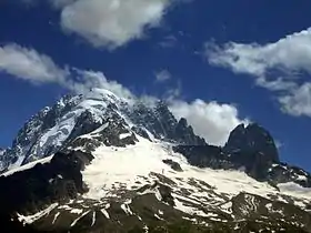 Vue de l'aiguille des Grands Montets