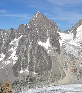 Vue depuis l'aiguille des Grands Montets à l'ouest de l'aiguille du Chardonnet avec à ses pieds le glacier du Trident dans le petit cirque sur son adret ; à gauche le glacier Adams Reilly, à droite celui du Chardonnet et en bas celui d'Argentière.