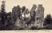 Carte postale en noir et blanc représentant des murs ruinés et envahis par la végétation.