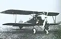 Albatros D.III (Oeffag) Serie 253