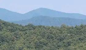 Vue depuis la Georgia State Route 246.