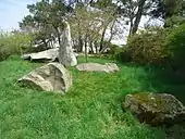 L'alignement de Mer er Morh.