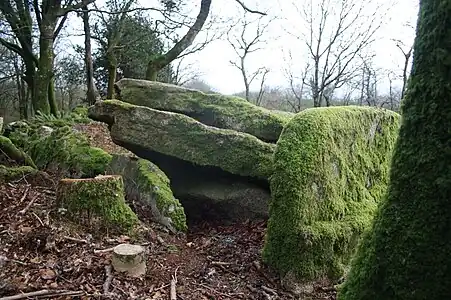 Vue nord de l'allée couverte.
