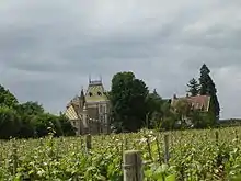 Aloxe-Corton, vignoble
