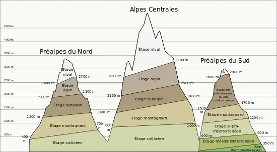 Étages de végétation dans les Alpes