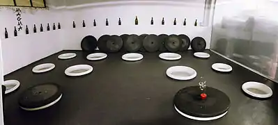 Amphores recouvertes de résine alimentaire, Frank Cornelissen, en Sicile