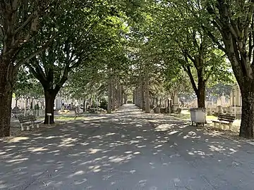 Allée principale issue de l'entrée au 1 rue du cimetière (ancien cimetière).