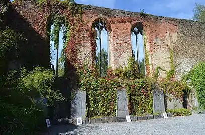 Intérieur du mur gouttereau nord de l'ancienne église abbatiale.