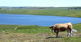 Image illustrative de l’article Lac de Saint-Andéol