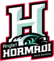 Logo de l'Hormadi élite depuis la saison 2021/2022.