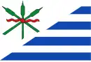 Drapeau de Anjum