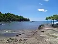 Anse de la pointe des tortues (vue générale).