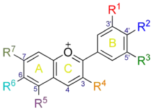 numérotation du noyau