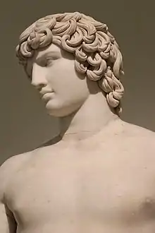 Tête et buste de l'Antinoüs Farnèse.